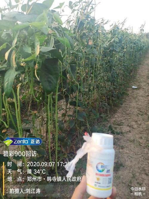為什么你種植的作物產(chǎn)量要比別人低,你可能少了這個